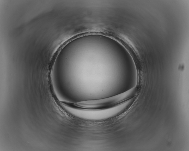 X0000090911260200707301426
