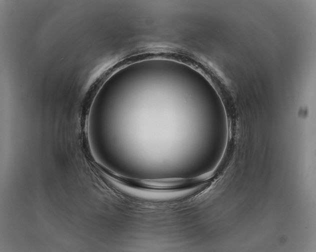 X0000090911261200707301426