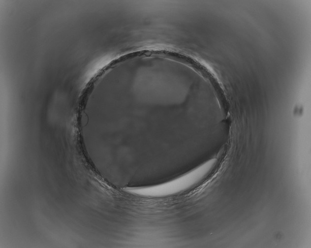 X0000090911263200707301426