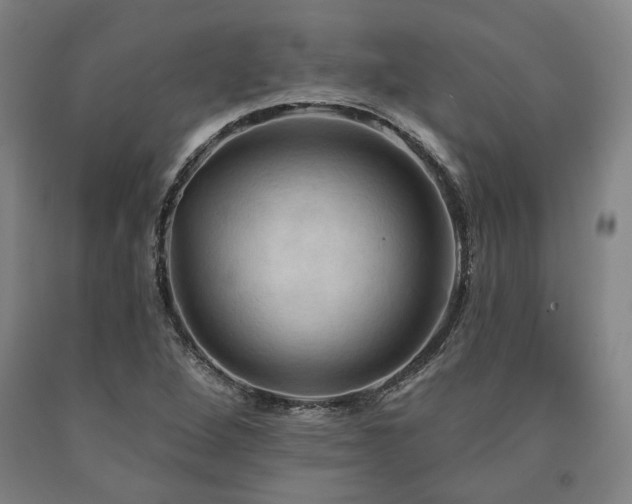 X0000090911264200707301426
