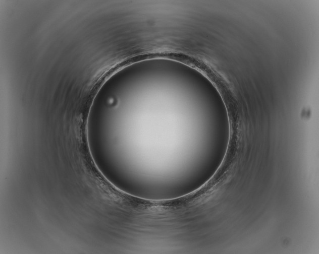 X0000090911265200707301426