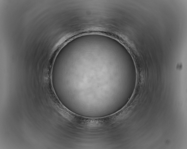 X0000090911266200707301426