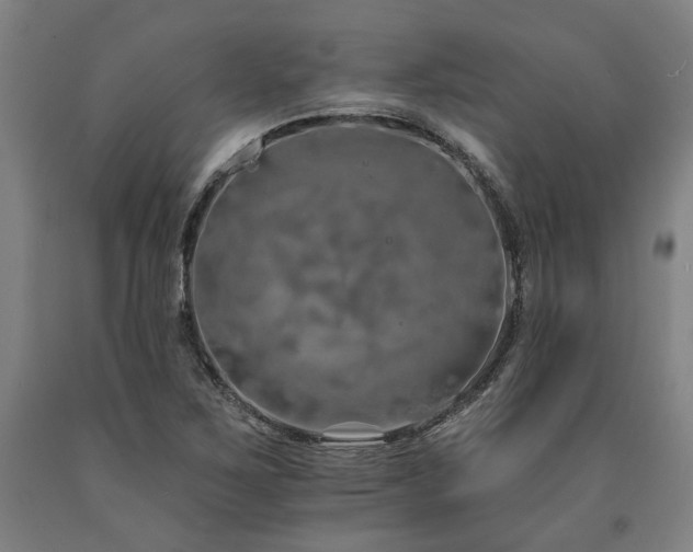 X0000090911267200707301426