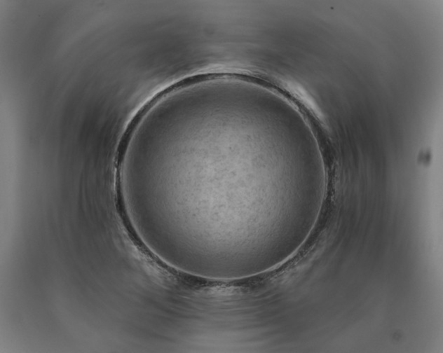 X0000090911268200707301426