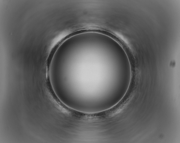 X0000090911269200707301426