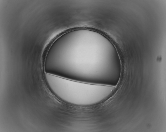 X0000090911270200707301426