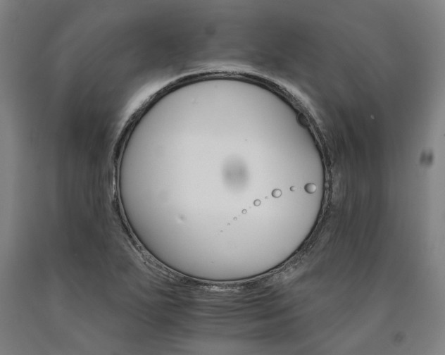 X0000090911271200707301426