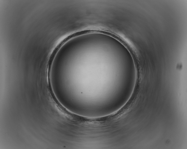 X0000090911272200707301426