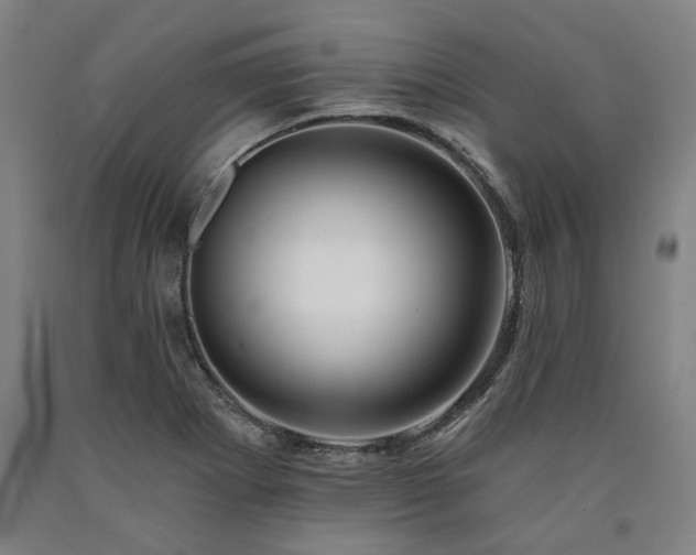 X0000090911273200707301426