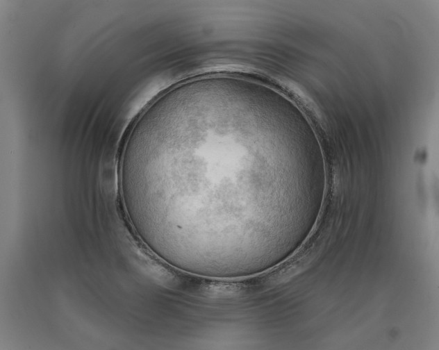 X0000090911274200707301426