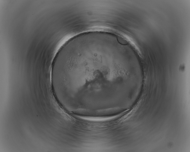 X0000090911275200707301426