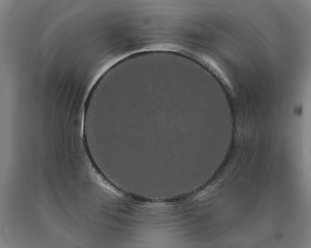 X0000090911276200707301426