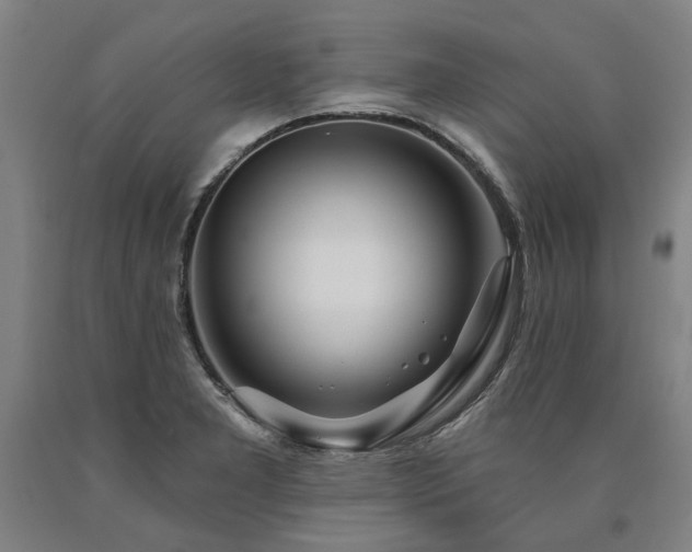 X0000090911277200707301426