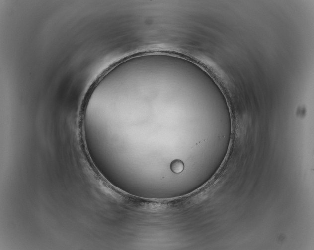 X0000090911278200707301426