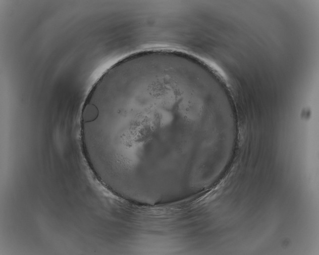 X0000090911279200707301426