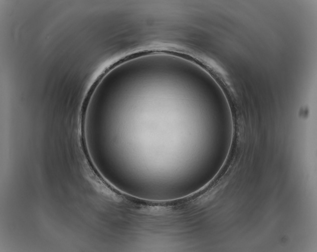 X0000090911280200707301426
