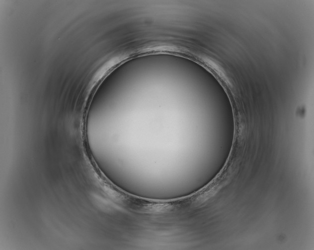 X0000090911282200707301426