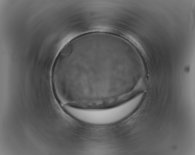 X0000090911283200707301426