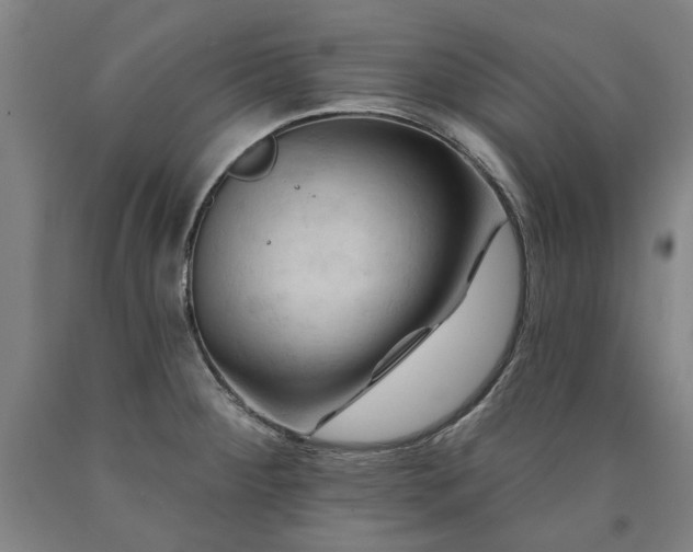 X0000090911284200707301426