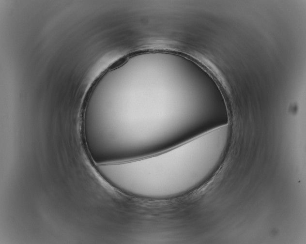 X0000090911285200707301426