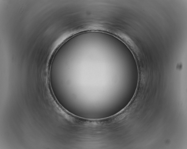 X0000090911286200707301426