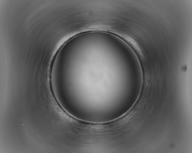 X0000090911288200707301426