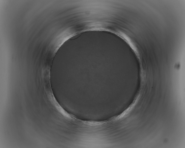 X0000090911289200707301426