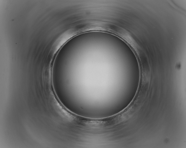 X0000090911290200707301426