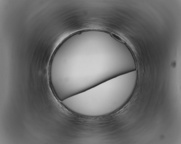 X0000090911291200707301426
