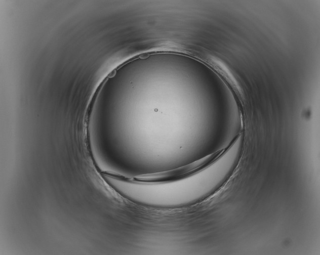 X0000090911292200707301426