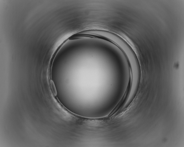 X0000090911293200707301426