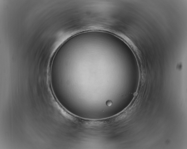 X0000090911294200707301426