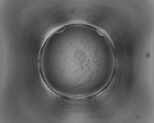 X0000090911295200707301426