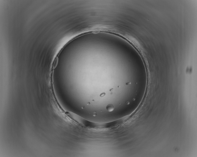 X0000090911296200707301426