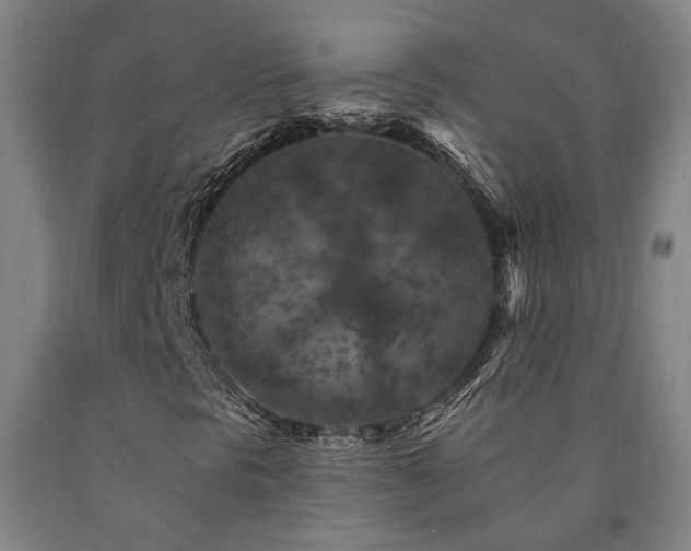 X0000090911297200707301425