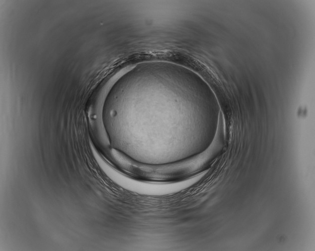 X0000090911298200707301425