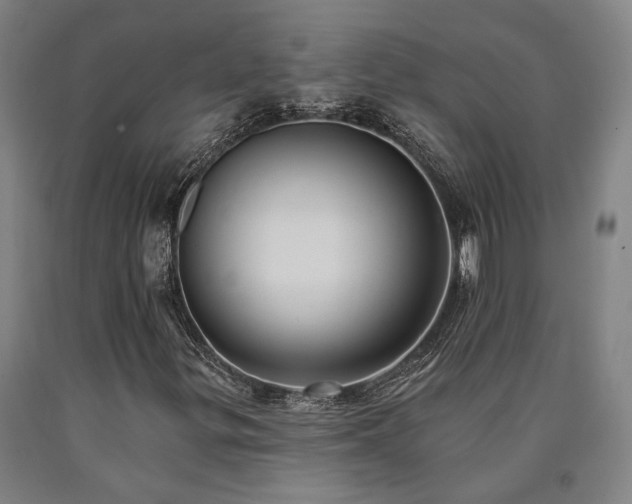 X0000090911299200707301425
