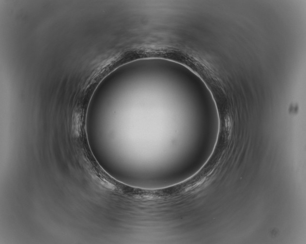 X0000090911300200707301425