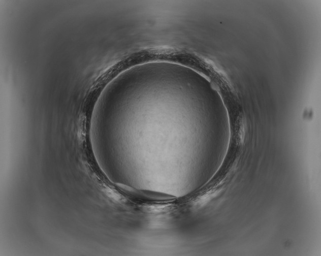 X0000090911301200707301425