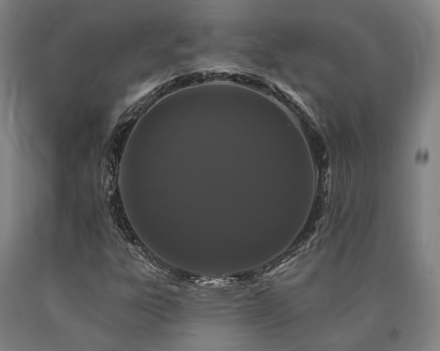 X0000090911303200707301425