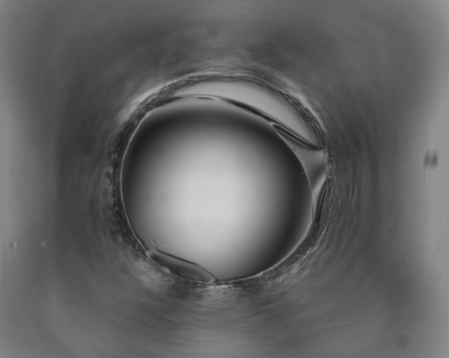 X0000090911304200707301425
