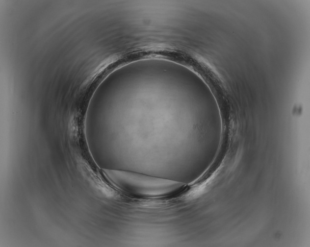 X0000090911305200707301425