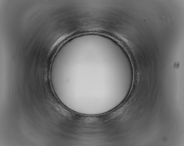 X0000090911306200707301425