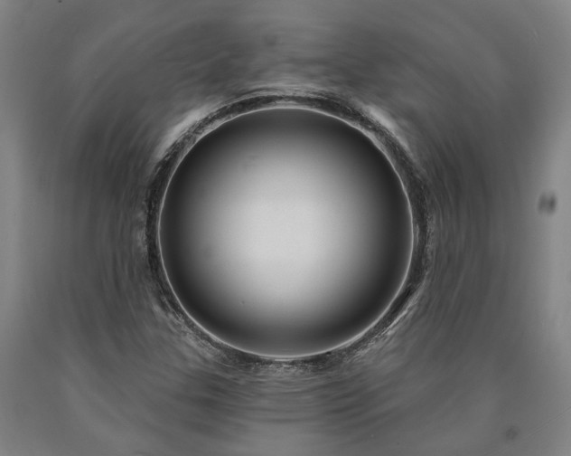 X0000090911307200707301425