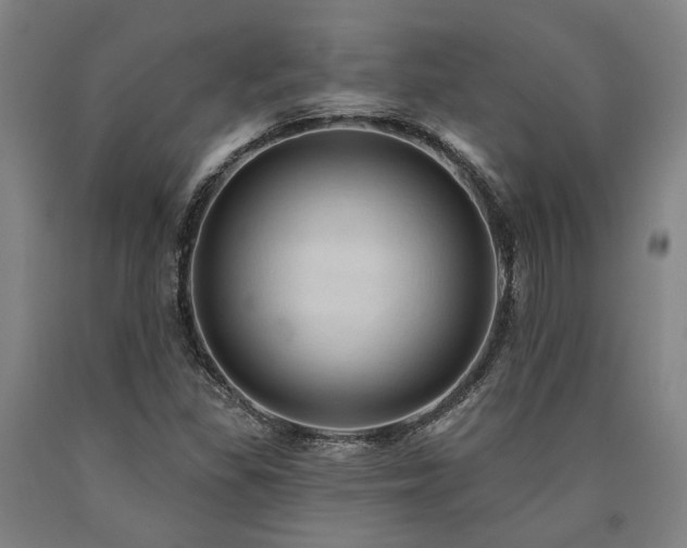 X0000090911309200707301425