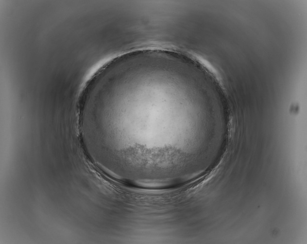 X0000090911310200707301425