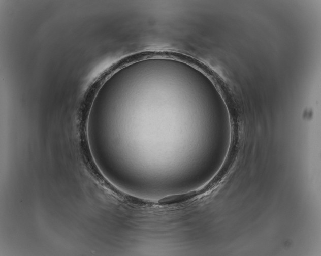X0000090911311200707301425