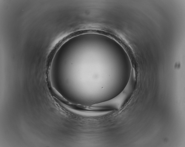 X0000090911312200707301425