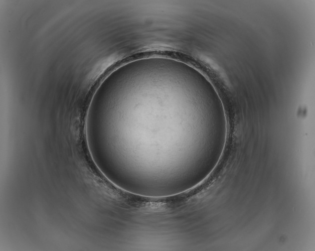 X0000090911313200707301425