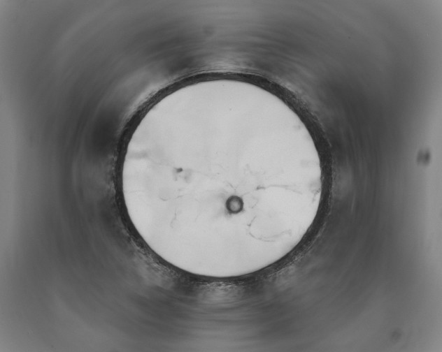 X0000090911314200707301425